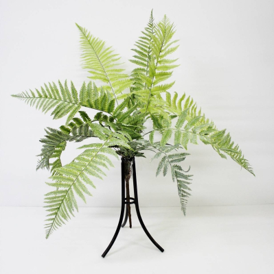 Изображение товара Папоротник Конэко-О KR_10143 60 см декоративное растение для интерьера