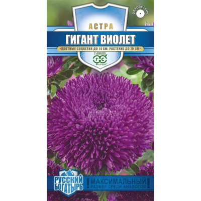 Изображение товара Семена Гавриш Астра Гигант виолет, однолетняя (игольчато-коготковая) 0,05 г серия Русский богатырь Н18 Изображение товара Семена Гавриш Астра Гигант виолет, однолетняя (игольчато-коготковая) 0,05 г серия Русский богатырь Н18