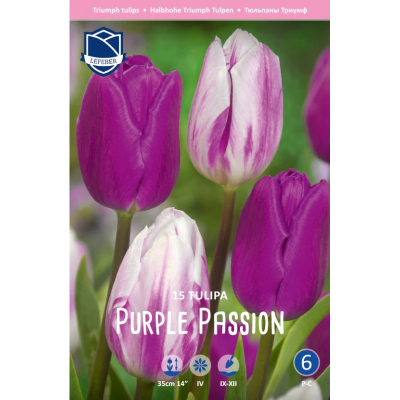 Изображение товара Тюльпан Lefeber Purple passion 15 штук - семена цветов