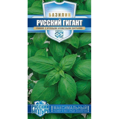 Изображение товара Базилик Гавриш Русский гигант, зеленый 0,1 г серия Русский богатырь Изображение товара Базилик Гавриш Русский гигант, зеленый 0,1 г серия Русский богатырь