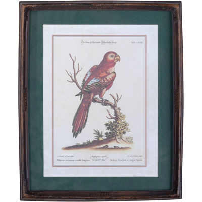 Изображение товара Панно настенное Glasar попугай, под старину 22х2х27 см