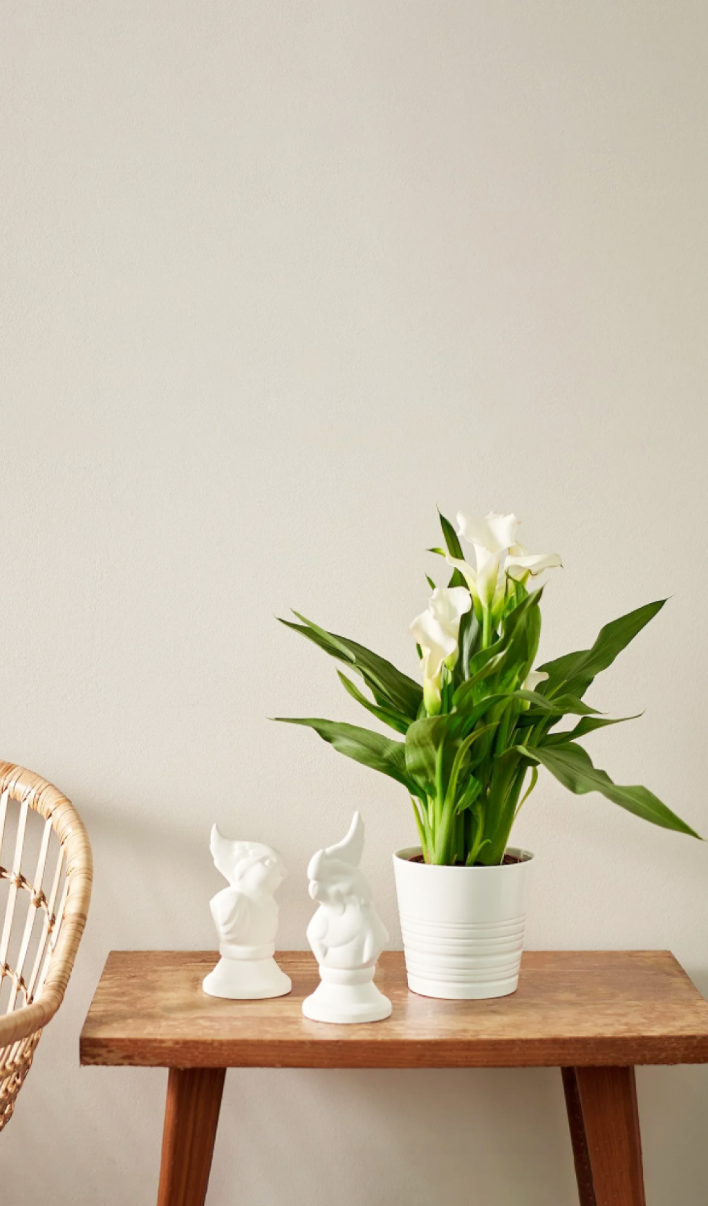 Искусственные растения Hanlin!