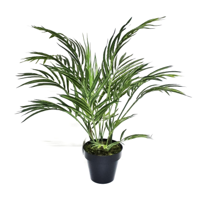 Изображение товара Искусственная пальма Арека Конэко-О, 45 см, стильное керамическое кашпо