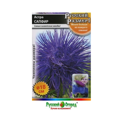 Изображение товара Цветы астра Русский огород Русский размер I сапфир