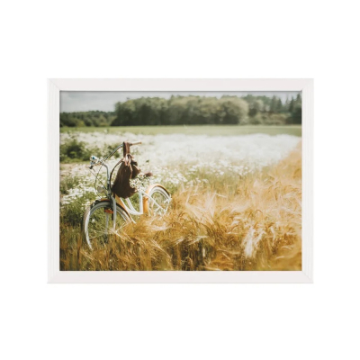 Изображение товара Постер Лакарт Дизайн Луг и велосипед в белой деревянной раме 30х40 см