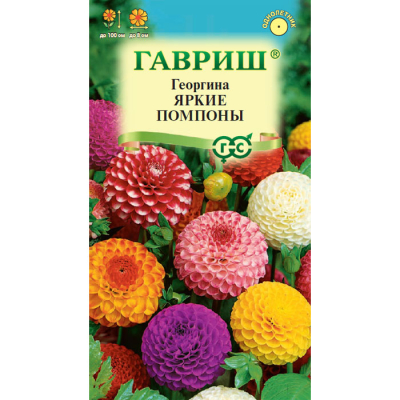 Изображение товара Семена Георгина Яркие помпоны 0,2 г для ярких клумб и групповых посадок