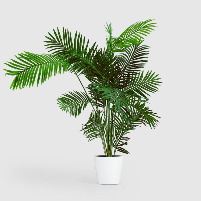 Изображение товара Искусственное дерево Конэко-о в горшке, зеленое, декоративное