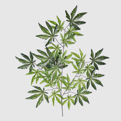 Изображение товара Ветка Конэко-О клёна искусственная зелёная 61 см