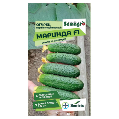 Изображение товара Семена Seminis огурец партенокарпик Маринда F1 для открытого грунта Изображение товара Семена Seminis огурец партенокарпик Маринда F1 для открытого грунта