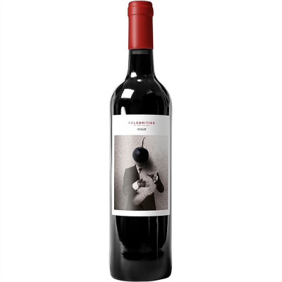 Изображение товара Вино красное сухое Bodegas San Valero Celebrities Merlot 0.75 л
