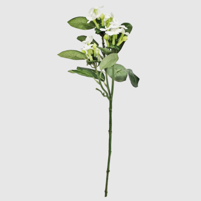 Изображение товара Искусственный цветущий стрепс Конэко-О кремовый 58 см