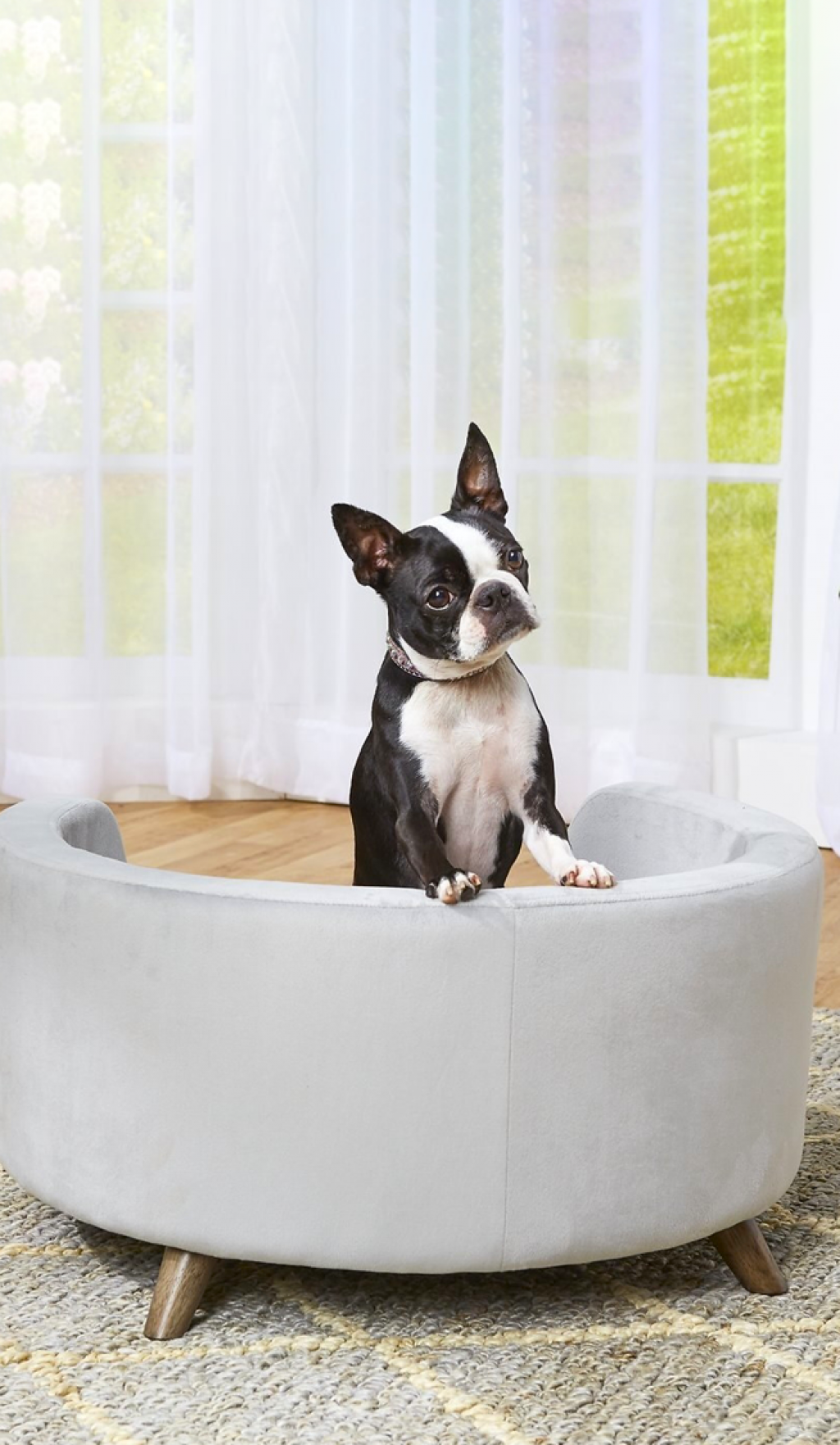 Скидки до 40% на товары для животных!