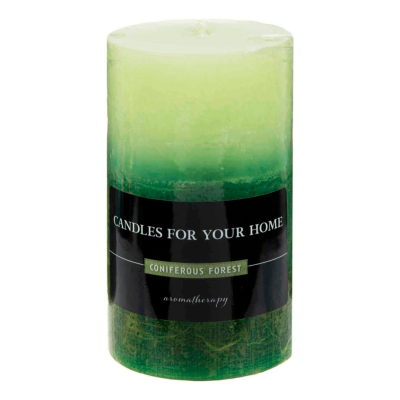 Изображение товара Ароматическая свеча Home Interiors хвойный лес 6x10 см зеленая
