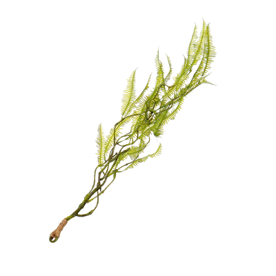 Изображение товара Ампельный папоротник Конэко-о 70 см для декора интерьера гипоаллергенный