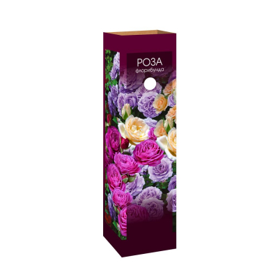 Изображение товара Роза флорибунда Кутепово - кустистая декоративная в коробке