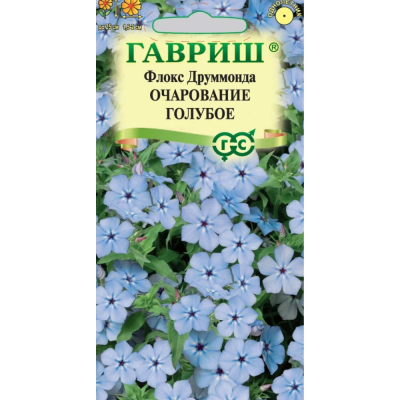 Изображение товара Семена Гавриш Флокс Очарование голубое, Друммондаx 0,05 г