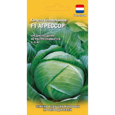 Изображение товара Семена Гавриш Капуста белокочанная Агрессор F1 10 шт. Россия Изображение товара Семена Гавриш Капуста белокочанная Агрессор F1 10 шт. Россия