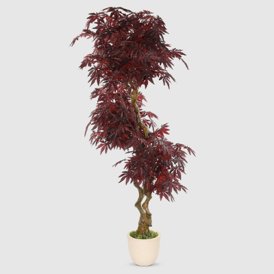 Изображение товара Искусственный фикус Бенджамина Конэко-О красный, интерьерный и уличный декор, высота 190 см Изображение товара Искусственный фикус Бенджамина Конэко-О красный, интерьерный и уличный декор, высота 190 см