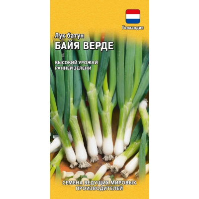 Изображение товара Семена Гавриш Лук батун Байя Верде 0.2 г (Голландия)
