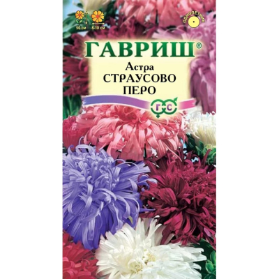 Изображение товара Семена Гавриш Астра страусово перо однол смесь 0.3г