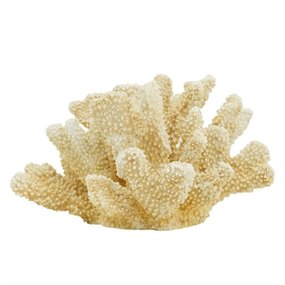 Изображение товара Декор настольный Glasar Коралл 22х17х14 см бежевый