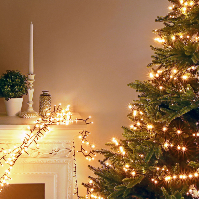 Изображение товара Гирлянда уличная Lotti 40045 со стартовым шнуром 600 LED 24.5 м