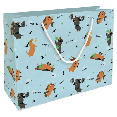 Изображение товара Подарочный пакет Be Smart Hobby голубой 36х26 см