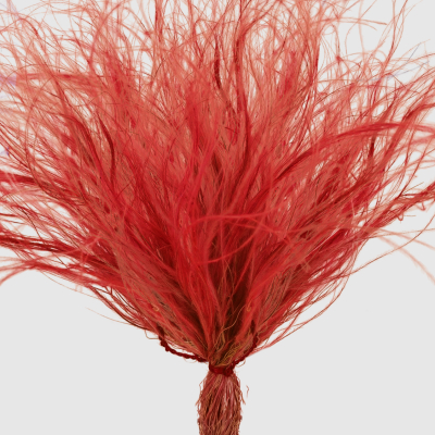 Изображение товара Сухоцвет Donna Flor стифа ковыль 25 г красный 40 см для декора и флористики