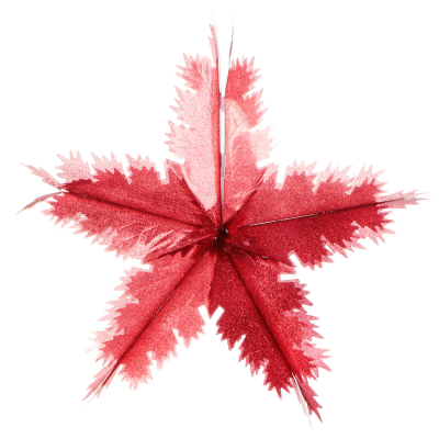 Изображение товара Подвеска декоративная Kaemingk звезда 56 см для ёлки