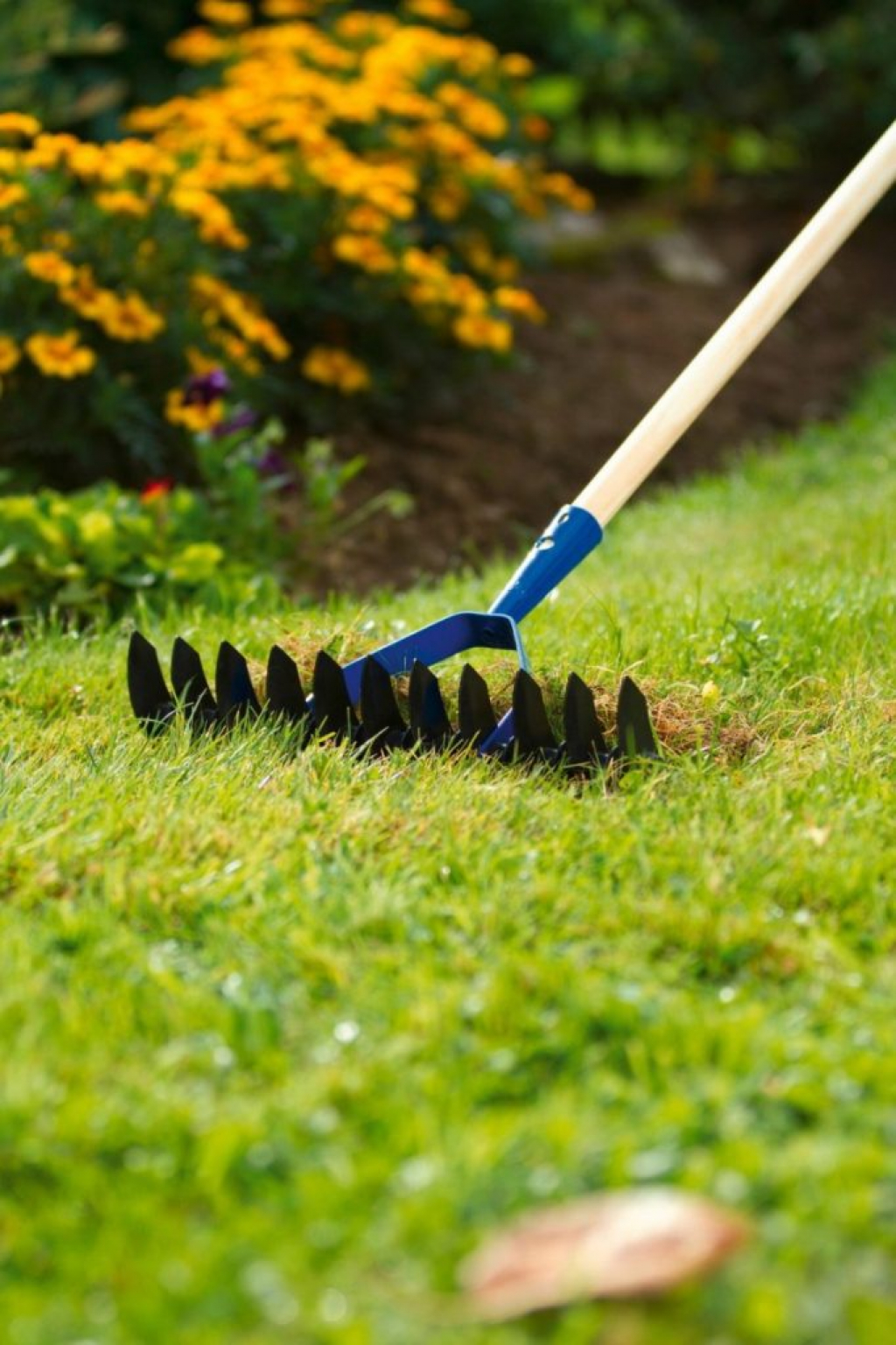 Супер цена при покупке комплекта для сада!