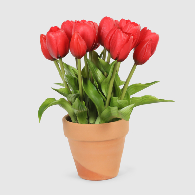 Изображение товара Букет Конэко-О 10148x2 - искусственные тюльпаны в кашпо 28 см Изображение товара Букет Конэко-О 10148x2 - искусственные тюльпаны в кашпо 28 см